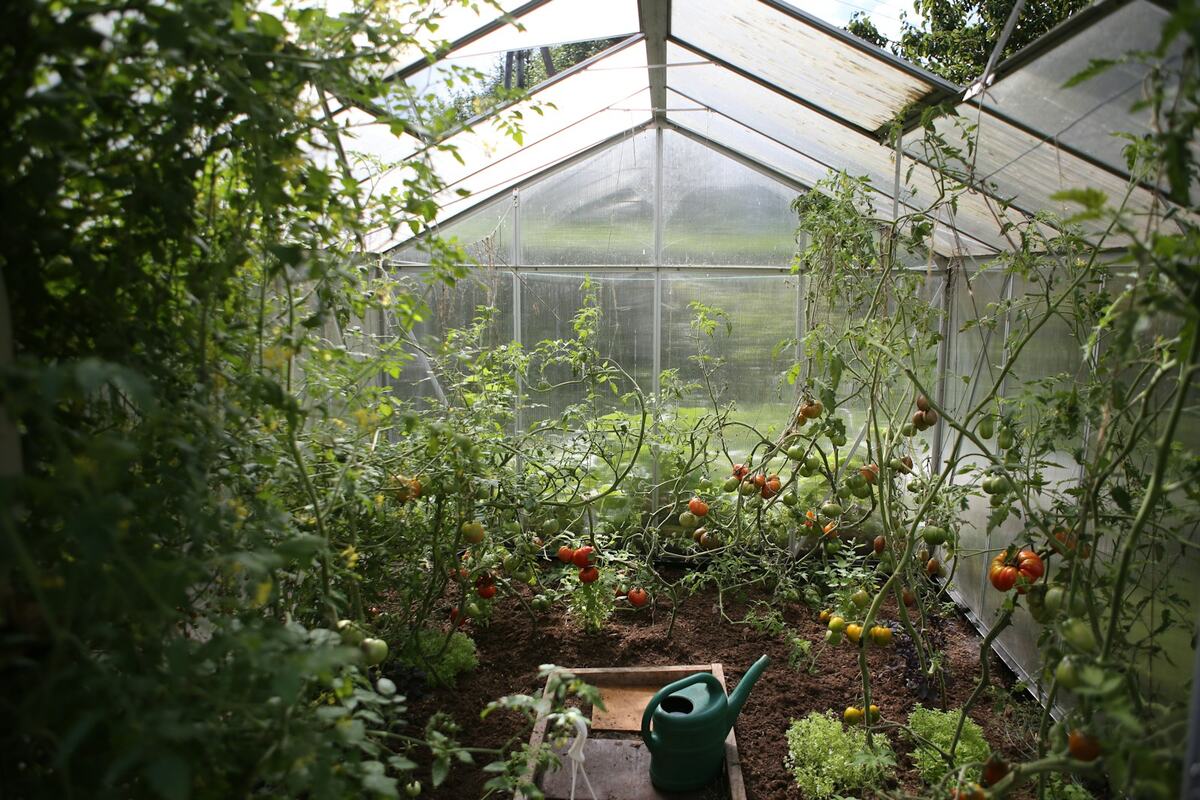Jardinería en Lomas de la Primavera