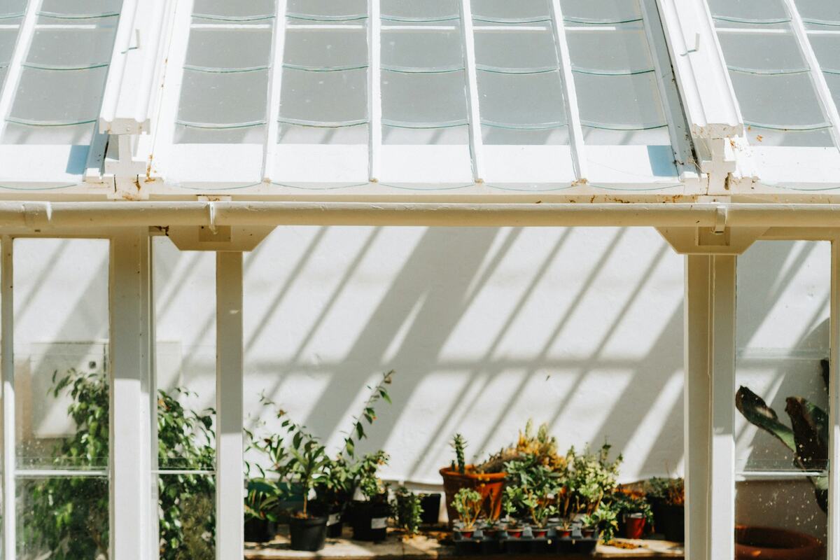 Vivero y jardinería en Zapote del Valle
